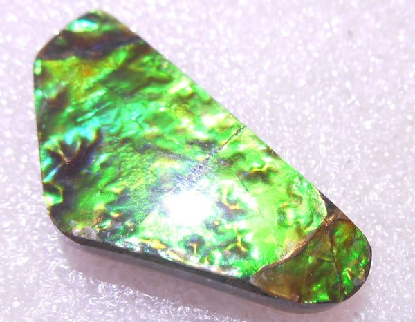 35 x 17 x 4 mm - Natural Free Form FFN 145 Ammolite ナチュラル　ルース 　アンモライト　