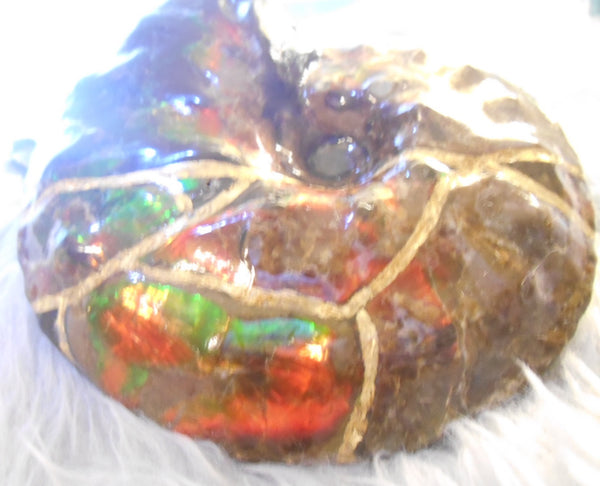 Kintsugi Fossil