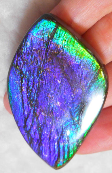 Large 55 x 34 mm Natural  Free Form . FFN 242  Ammolite   ナチュラル　ルース　アンモライト フリーフォーム