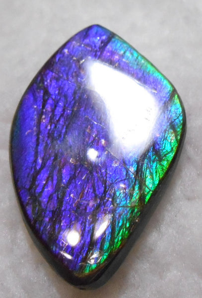 Large 55 x 34 mm Natural  Free Form . FFN 242  Ammolite   ナチュラル　ルース　アンモライト フリーフォーム