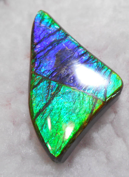 Large 50 x 28 mm Natural  Free Form . FFN 243  Ammolite   ナチュラル　ルース　アンモライト フリーフォーム