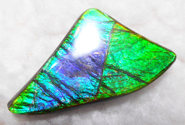 Large 50 x 28 mm Natural  Free Form . FFN 243  Ammolite   ナチュラル　ルース　アンモライト フリーフォーム