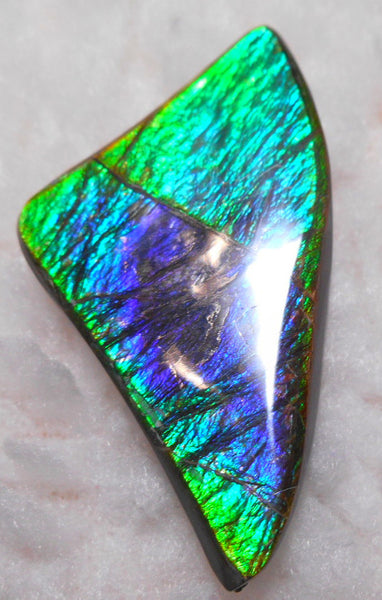 Large 50 x 28 mm Natural  Free Form . FFN 243  Ammolite   ナチュラル　ルース　アンモライト フリーフォーム