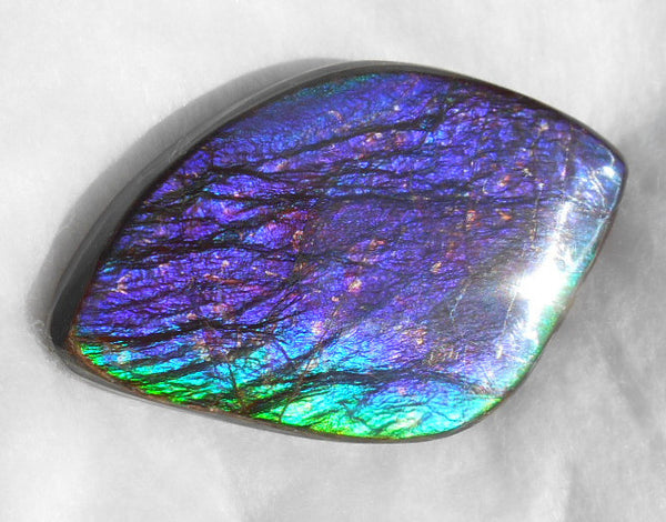 Large 55 x 34 mm Natural  Free Form . FFN 242  Ammolite   ナチュラル　ルース　アンモライト フリーフォーム