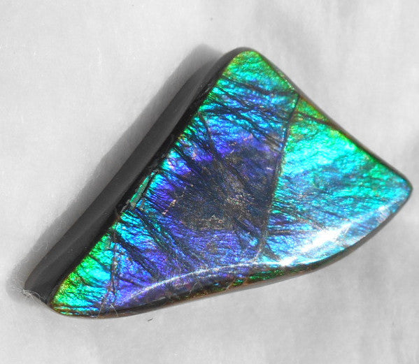 Large 50 x 28 mm Natural  Free Form . FFN 243  Ammolite   ナチュラル　ルース　アンモライト フリーフォーム