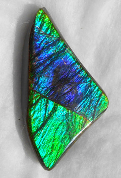 Large 50 x 28 mm Natural  Free Form . FFN 243  Ammolite   ナチュラル　ルース　アンモライト フリーフォーム