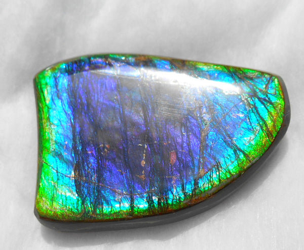 Large 51 x 38 mm Natural  Free Form . FFN 240  Ammolite   ナチュラル　ルース　アンモライト フリーフォーム