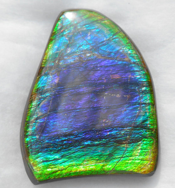 Large 51 x 38 mm Natural  Free Form . FFN 240  Ammolite   ナチュラル　ルース　アンモライト フリーフォーム