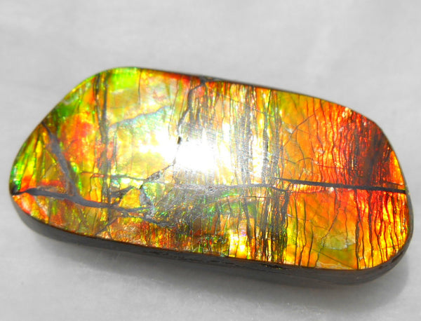 33 x 15 mm Natural  Free Form . FFN 246  Ammolite   ナチュラル　ルース　アンモライト フリーフォーム