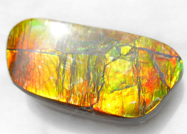 33 x 15 mm Natural  Free Form . FFN 246  Ammolite   ナチュラル　ルース　アンモライト フリーフォーム