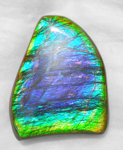 Large 51 x 38 mm Natural  Free Form . FFN 240  Ammolite   ナチュラル　ルース　アンモライト フリーフォーム