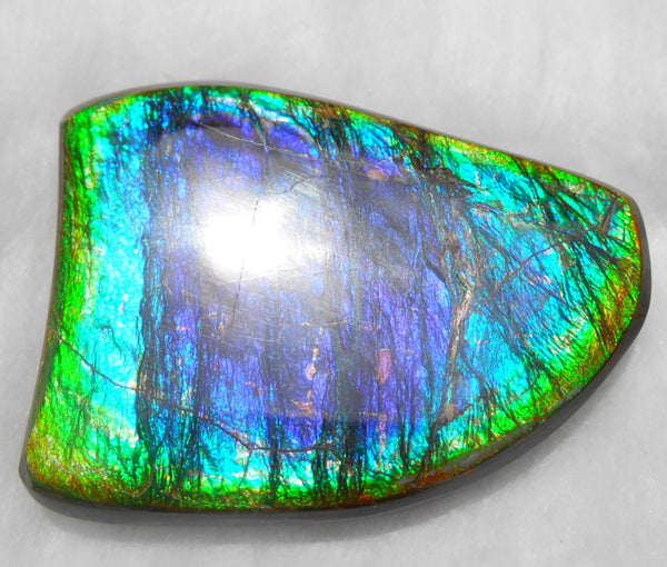 Large 51 x 38 mm Natural  Free Form . FFN 240  Ammolite   ナチュラル　ルース　アンモライト フリーフォーム