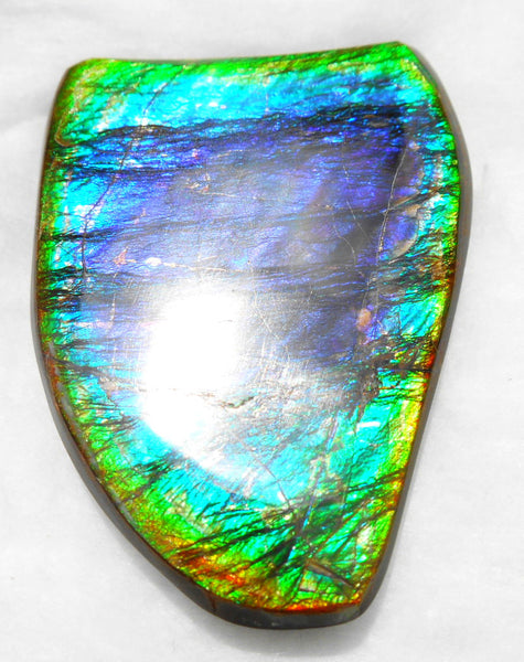 Large 51 x 38 mm Natural  Free Form . FFN 240  Ammolite   ナチュラル　ルース　アンモライト フリーフォーム
