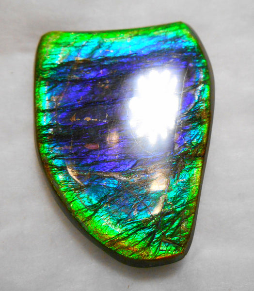 Large 51 x 38 mm Natural  Free Form . FFN 240  Ammolite   ナチュラル　ルース　アンモライト フリーフォーム