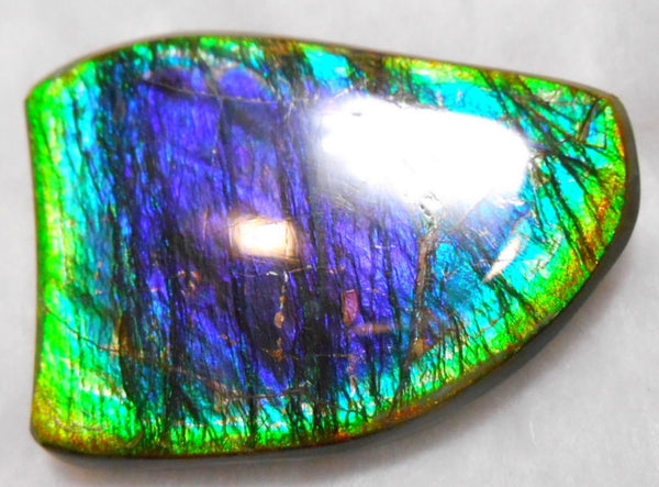 Large 51 x 38 mm Natural  Free Form . FFN 240  Ammolite   ナチュラル　ルース　アンモライト フリーフォーム