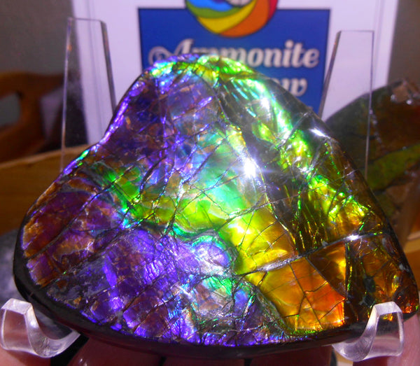 75 x 65 x 16 mm - Collector Stone - CS-61 AAA Natural Rainbow Heart Shape　ナチュラル AAA ハート形 コレクターディスプレイピース