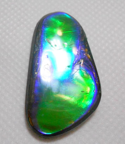SALE 30% OFF !  42 x 24 mm  Natural  Free Form . FFN 260  Ammolite   ナチュラル　ルース　アンモライト フリーフォーム