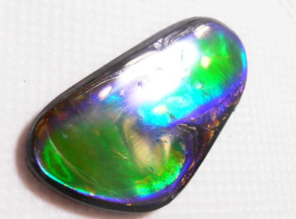 SALE 30% OFF !  42 x 24 mm  Natural  Free Form . FFN 260  Ammolite   ナチュラル　ルース　アンモライト フリーフォーム