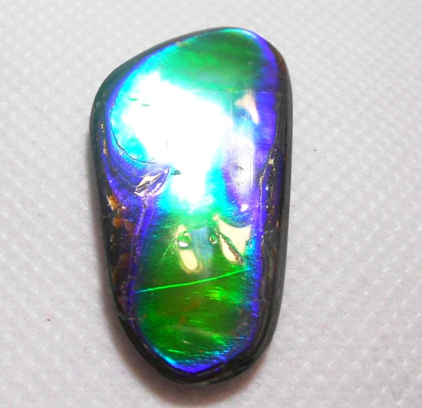 SALE 30% OFF !  42 x 24 mm  Natural  Free Form . FFN 260  Ammolite   ナチュラル　ルース　アンモライト フリーフォーム