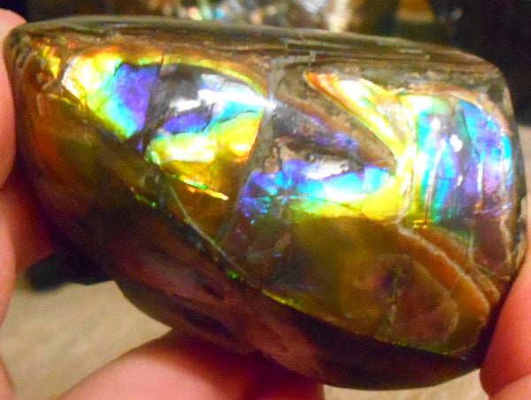 Copy of 60 x 40 x 35 mm - Collector Stone - CS-63  Natural Rainbow Gem Grade　キール部分 レインボー ナチュラル  コレクターディスプレイピース