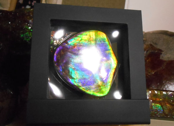 Rare PINK with Gorgeous Colors COLLECTOR STONE  64 x 61 mm　Natural Ammolite - Feng Shui CS-104 ナチュラル　コレクション　ディスプレイピース