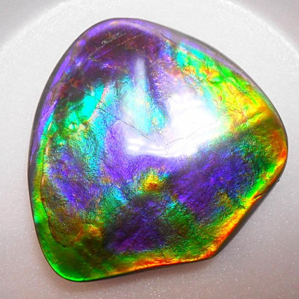 Rare PINK with Gorgeous Colors COLLECTOR STONE  64 x 61 mm　Natural Ammolite - Feng Shui CS-104 ナチュラル　コレクション　ディスプレイピース