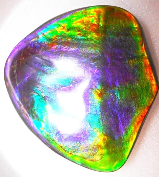 Rare PINK with Gorgeous Colors COLLECTOR STONE  64 x 61 mm　Natural Ammolite - Feng Shui CS-104 ナチュラル　コレクション　ディスプレイピース