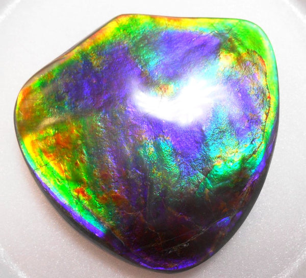 Rare PINK with Gorgeous Colors COLLECTOR STONE  64 x 61 mm　Natural Ammolite - Feng Shui CS-104 ナチュラル　コレクション　ディスプレイピース