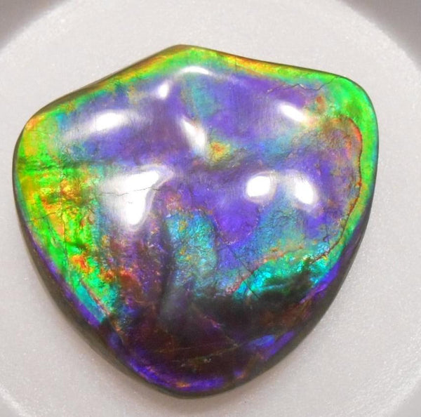 Rare PINK with Gorgeous Colors COLLECTOR STONE  64 x 61 mm　Natural Ammolite - Feng Shui CS-104 ナチュラル　コレクション　ディスプレイピース