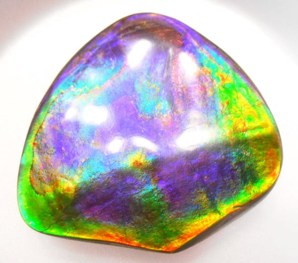 Rare PINK with Gorgeous Colors COLLECTOR STONE  64 x 61 mm　Natural Ammolite - Feng Shui CS-104 ナチュラル　コレクション　ディスプレイピース