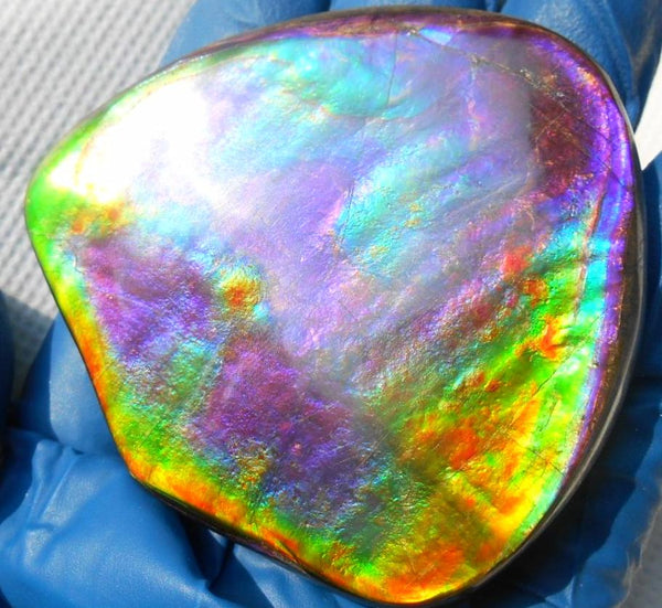 Rare PINK with Gorgeous Colors COLLECTOR STONE  64 x 61 mm　Natural Ammolite - Feng Shui CS-104 ナチュラル　コレクション　ディスプレイピース