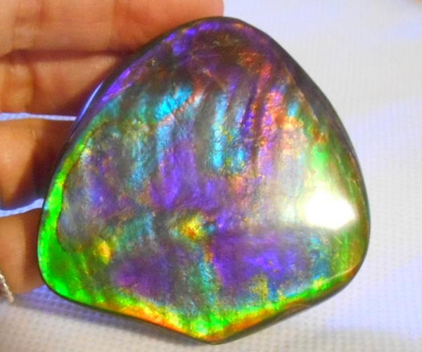 Rare PINK with Gorgeous Colors COLLECTOR STONE  64 x 61 mm　Natural Ammolite - Feng Shui CS-104 ナチュラル　コレクション　ディスプレイピース