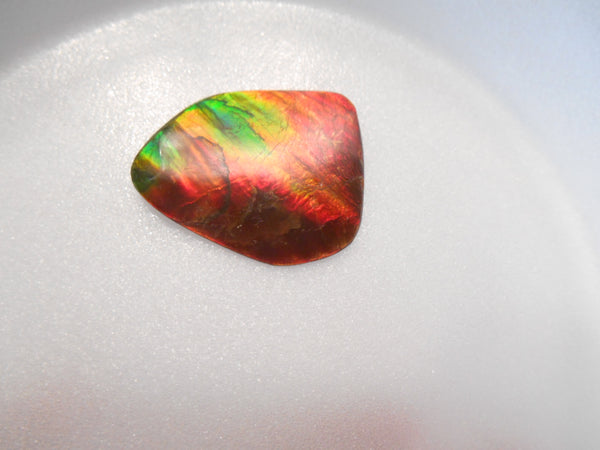 SALE! 40% OFF 32 x 26mm - IMP-47　Natural Ammolite Double-Sided Imperial With A Nipplite!　両面　レアルース　アンモライト