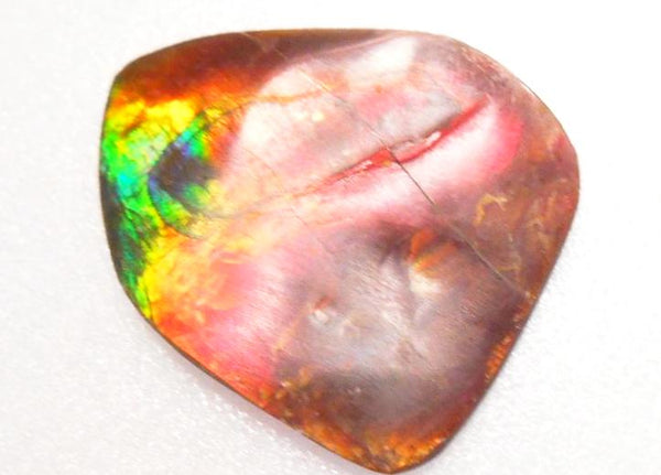 SALE! 40% OFF 32 x 26mm - IMP-47　Natural Ammolite Double-Sided Imperial With A Nipplite!　両面　レアルース　アンモライト