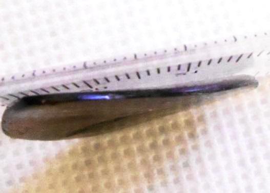 SALE! 40% OFF 32 x 26mm - IMP-47　Natural Ammolite Double-Sided Imperial With A Nipplite!　両面　レアルース　アンモライト