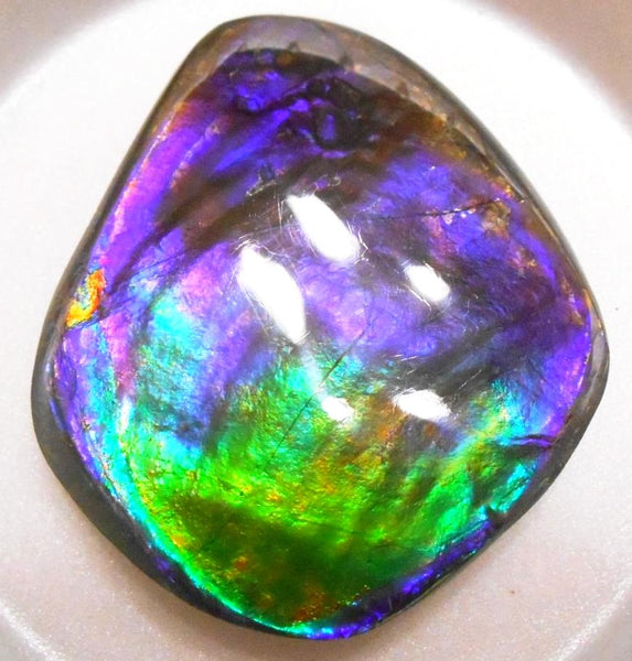 Make An Offer! 交渉あり☆Rare PINK with Gorgeous Colors COLLECTOR STONE  77 x 67 mm　Natural Ammolite - Feng Shui CS-105 ナチュラル　コレクション　ディスプレイピース