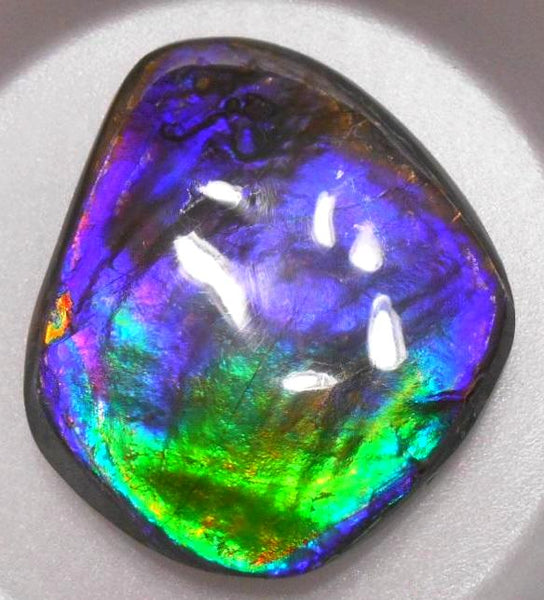 Make An Offer! 交渉あり☆Rare PINK with Gorgeous Colors COLLECTOR STONE  77 x 67 mm　Natural Ammolite - Feng Shui CS-105 ナチュラル　コレクション　ディスプレイピース