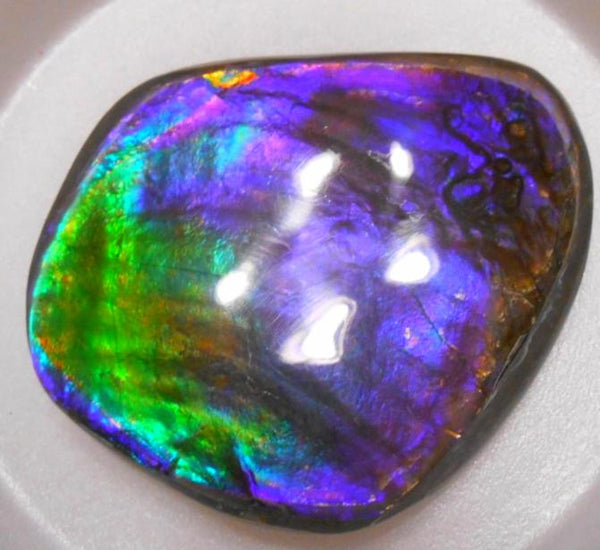 Make An Offer! 交渉あり☆Rare PINK with Gorgeous Colors COLLECTOR STONE  77 x 67 mm　Natural Ammolite - Feng Shui CS-105 ナチュラル　コレクション　ディスプレイピース