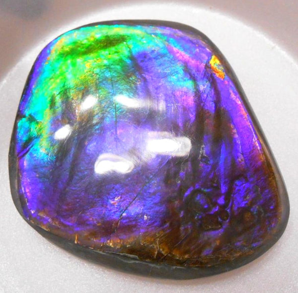 Make An Offer! 交渉あり☆Rare PINK with Gorgeous Colors COLLECTOR STONE  77 x 67 mm　Natural Ammolite - Feng Shui CS-105 ナチュラル　コレクション　ディスプレイピース