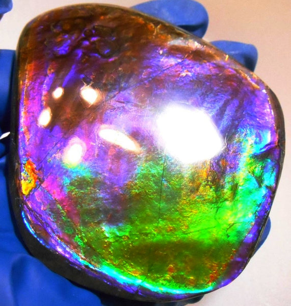 Make An Offer! 交渉あり☆Rare PINK with Gorgeous Colors COLLECTOR STONE  77 x 67 mm　Natural Ammolite - Feng Shui CS-105 ナチュラル　コレクション　ディスプレイピース