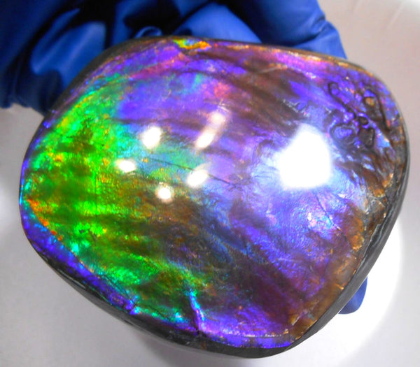 Make An Offer! 交渉あり☆Rare PINK with Gorgeous Colors COLLECTOR STONE  77 x 67 mm　Natural Ammolite - Feng Shui CS-105 ナチュラル　コレクション　ディスプレイピース
