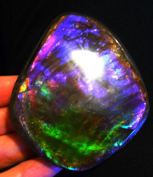 Make An Offer! 交渉あり☆Rare PINK with Gorgeous Colors COLLECTOR STONE  77 x 67 mm　Natural Ammolite - Feng Shui CS-105 ナチュラル　コレクション　ディスプレイピース