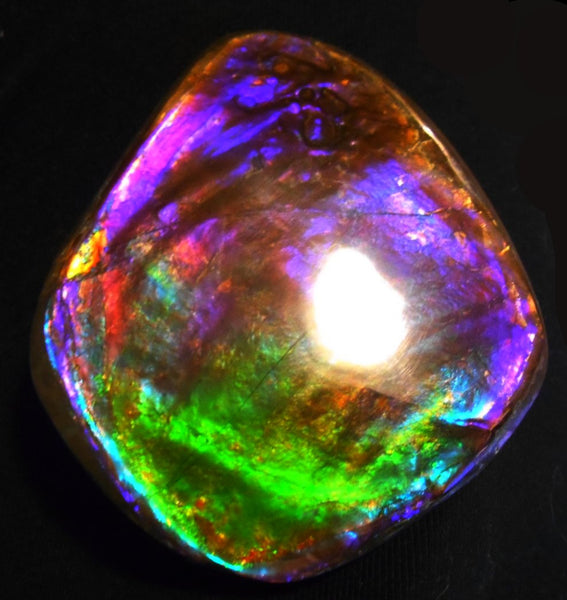 Make An Offer! 交渉あり☆Rare PINK with Gorgeous Colors COLLECTOR STONE  77 x 67 mm　Natural Ammolite - Feng Shui CS-105 ナチュラル　コレクション　ディスプレイピース