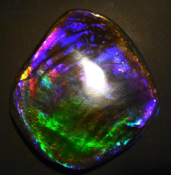 Make An Offer! 交渉あり☆Rare PINK with Gorgeous Colors COLLECTOR STONE  77 x 67 mm　Natural Ammolite - Feng Shui CS-105 ナチュラル　コレクション　ディスプレイピース