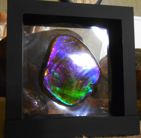 Make An Offer! 交渉あり☆Rare PINK with Gorgeous Colors COLLECTOR STONE  77 x 67 mm　Natural Ammolite - Feng Shui CS-105 ナチュラル　コレクション　ディスプレイピース