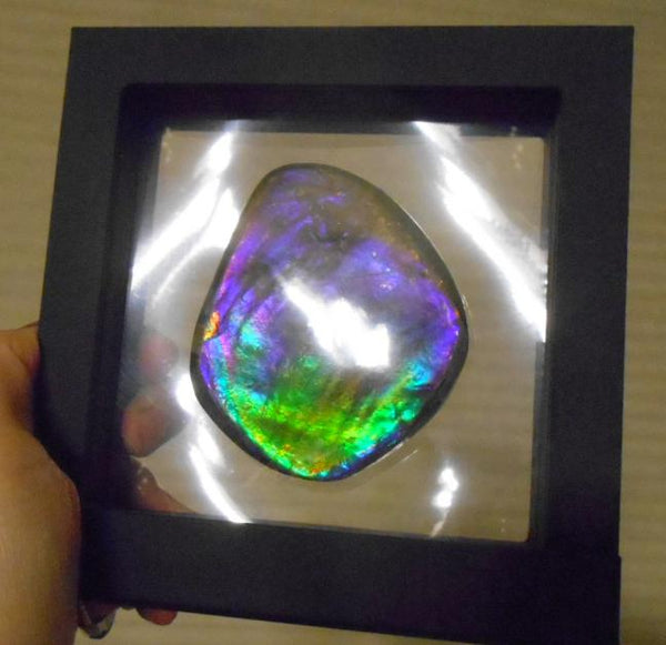 Make An Offer! 交渉あり☆Rare PINK with Gorgeous Colors COLLECTOR STONE  77 x 67 mm　Natural Ammolite - Feng Shui CS-105 ナチュラル　コレクション　ディスプレイピース