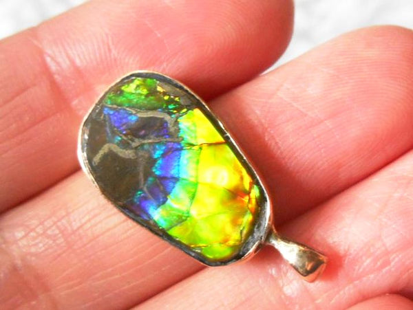 14K GOLD Pendant Top   Ammolite Pendant - JWY-06
