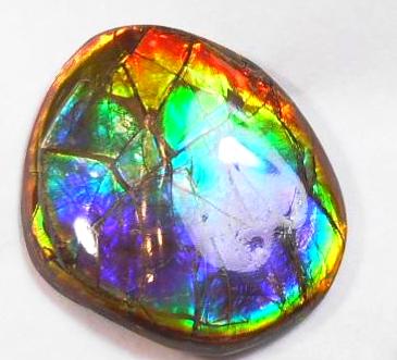 41 x 35 mm  Gorgeous Colors COLLECTOR STONE  CS-106 Ammolite コレクターストーン　アンモライト
