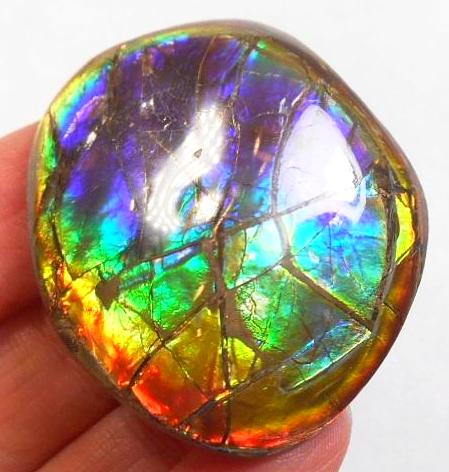 41 x 35 mm  Gorgeous Colors COLLECTOR STONE  CS-106 Ammolite コレクターストーン　アンモライト