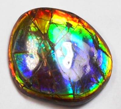 41 x 35 mm  Gorgeous Colors COLLECTOR STONE  CS-106 Ammolite コレクターストーン　アンモライト